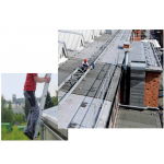 Dog On Board Autoschild - Hundewarnschild Mit Saugnapf Gelb/Schwarz